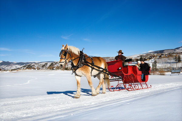 A couple enjoys a horse-drawn sleigh ride across a snowy field.