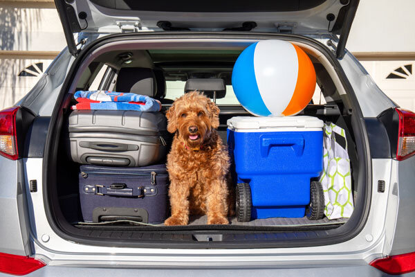 Car packed and ready to go with suitcases, a cooler, beach ball and Fido!