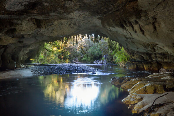 A spectacular forest cave only the locals know about