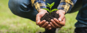 Regenerative hospitality for independent hotels