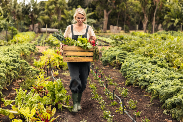Sourcing from local, eco-friendly providers is an important part of hotel sustainability